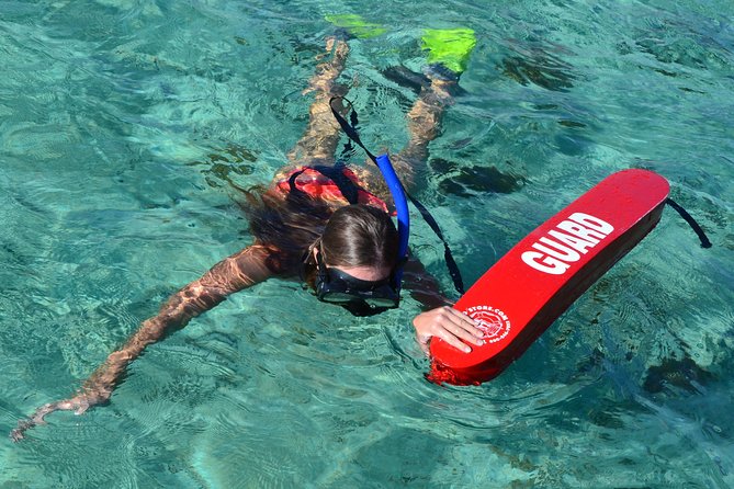 2-Hours Dolphin Excursion in Mauritius - A closer look at the short itinerary