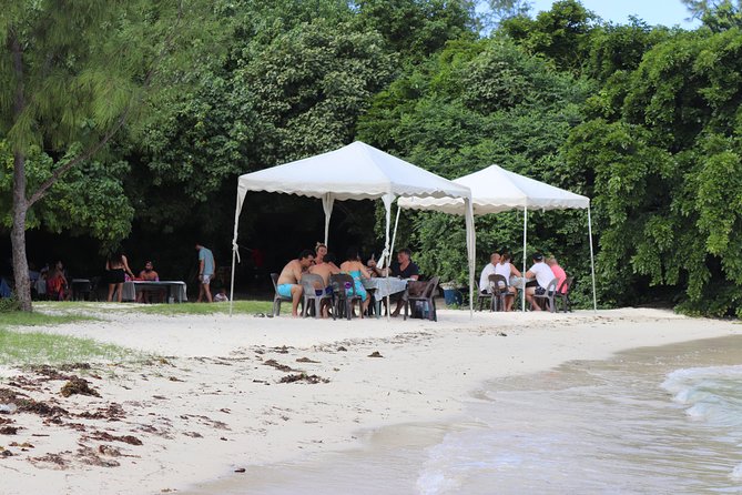 5 island tour all inclusive with Ile aux cerfs and snorkeling - Who will enjoy this outing most?