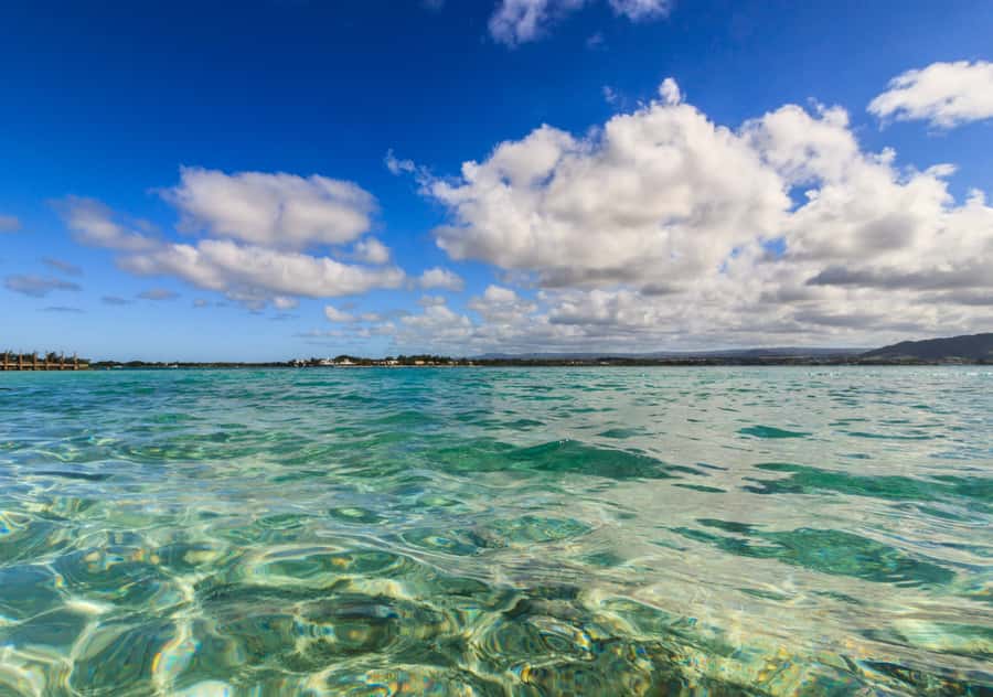 5 Islands Boat Trip, Snorkeling and Lunch on Ile aux Cerfs - Lunch, drinks, and the mood on board