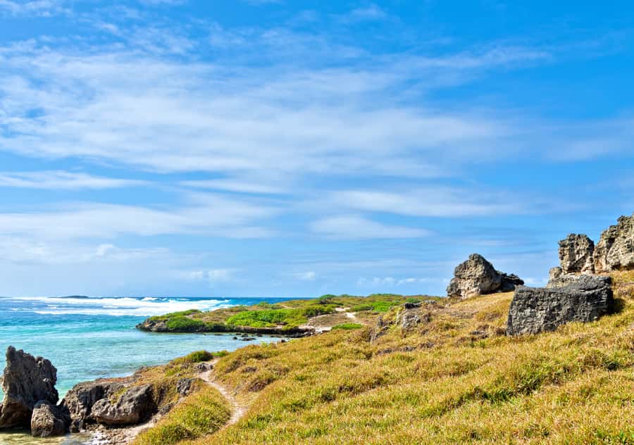 5 Islands Boat Trip, Snorkeling and Lunch on Ile aux Cerfs - What the $111 price really covers