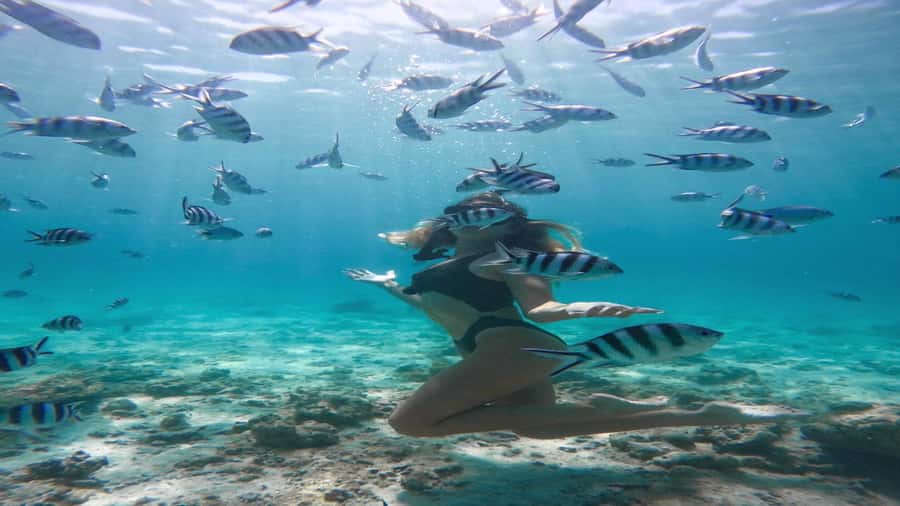 5 Islands Private Speedboat w/ Snorkeling + Lunch & Drinks - Lunch on the beach is generous, but the all-inclusive promise needs checking