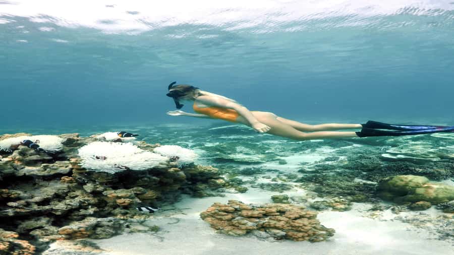 5 Islands Private Speedboat w/ Snorkeling + Lunch & Drinks - The nine-hour promise deserves a direct question