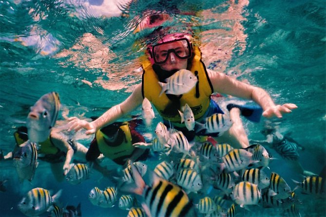 5 Islands Speedboat Cruise incl. Snorkeling in Blue Bay + Lunch at Ile aux Cerfs - Two hours at Blue Bay Marine Park