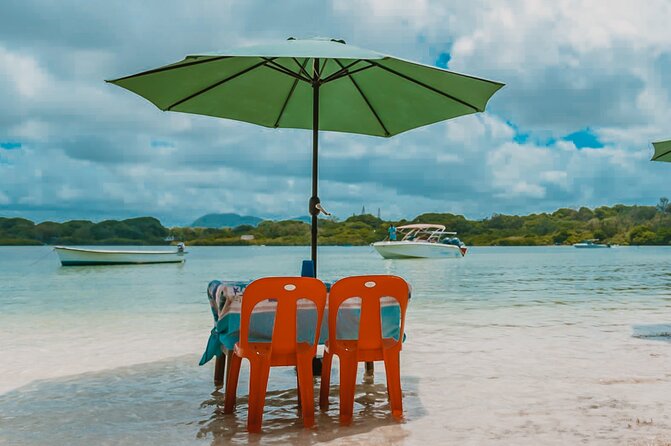 5 Islands Speedboat Cruise incl. Snorkeling in Blue Bay + Lunch at Ile aux Cerfs - Lunch, music, and the overall mood