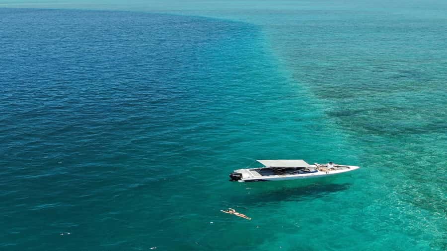 5 Islands Speedboat w/Snorkeling Sea Turtle + Lunch & Drinks - The best parts of this East Coast boat day