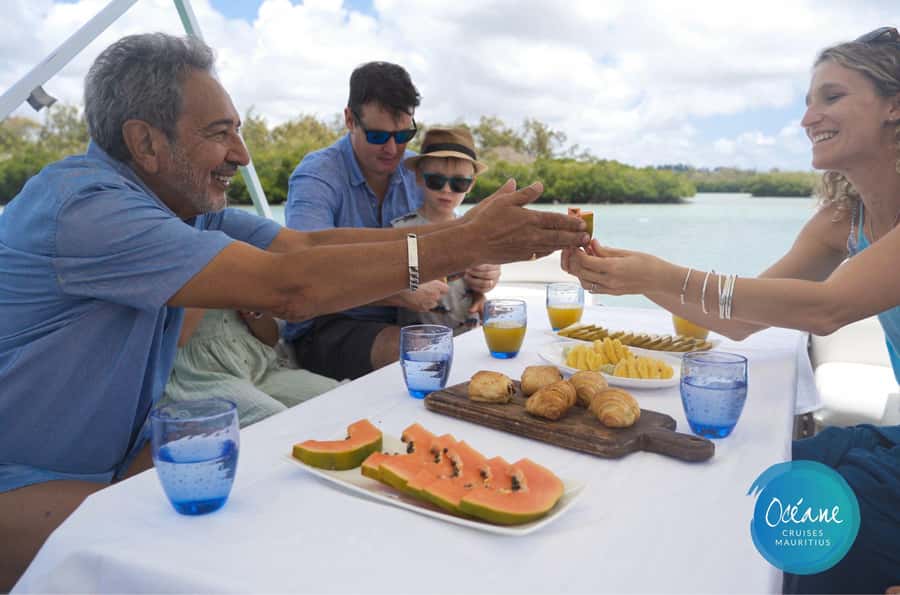 5 Islands Tour: New OCÉANE Private Pontoon Boat cruise - Ile aux Aigrettes and the changing route