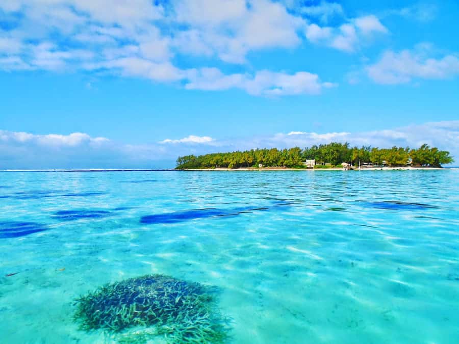 5 Islands Trip & Ile aux Cerfs inc Lunch, Drinks & Transport - Is $176 a fair price?
