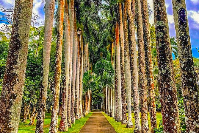 8-Hour Private City and North Tour in Mauritius - Lunch, water, and what your fare covers