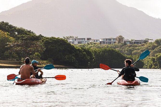 Afternoon Guided Kayak Activity on the Tamarin River - Wildlife along the mangroves and tree canopy