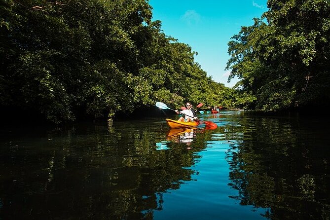 Afternoon Guided Kayak Activity on the Tamarin River - Why the guide matters on a calm outing