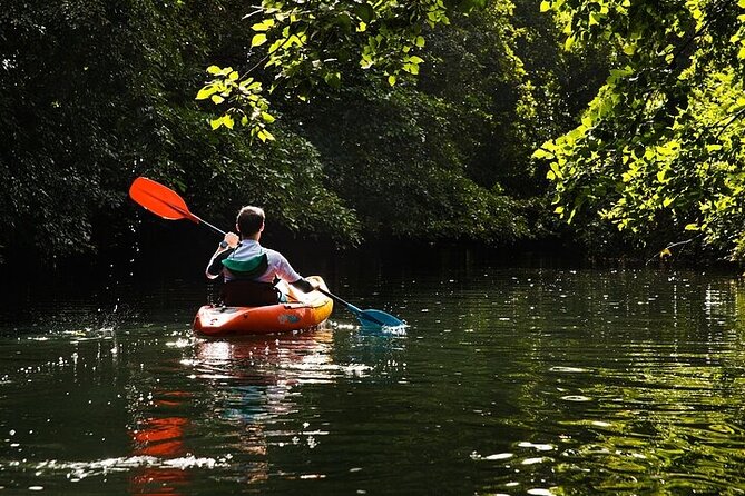 Afternoon Guided Kayak Activity on the Tamarin River - Who will enjoy this Tamarin kayak trip?