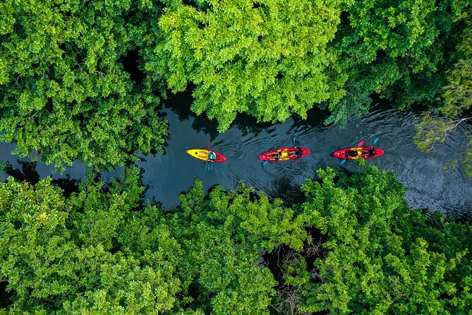 Afternoon Guided Kayak Tour on the Tamarin River - What this Tamarin River trip is really about