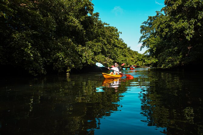 Afternoon Guided Kayak Tour on the Tamarin River - Meeting at Veranda Tamarin at 1:30 p.m.