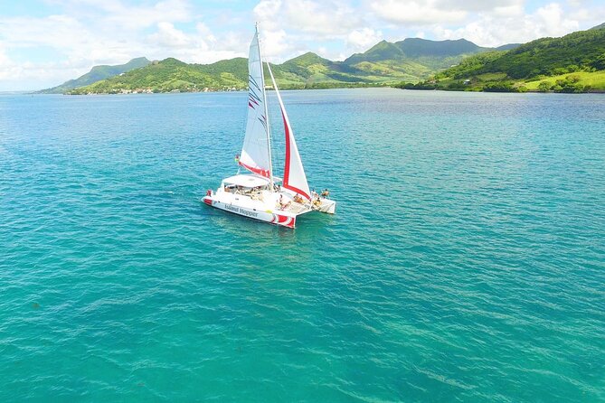 All inclusive CATAMARAN with BBQ : Ile aux cerf & GRSE waterfall - BBQ lunch, desserts, and drinks on board
