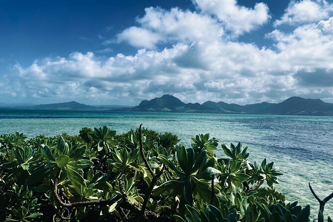An Excursion of the South East Lagoon of Mauritius - Key points to know before you book