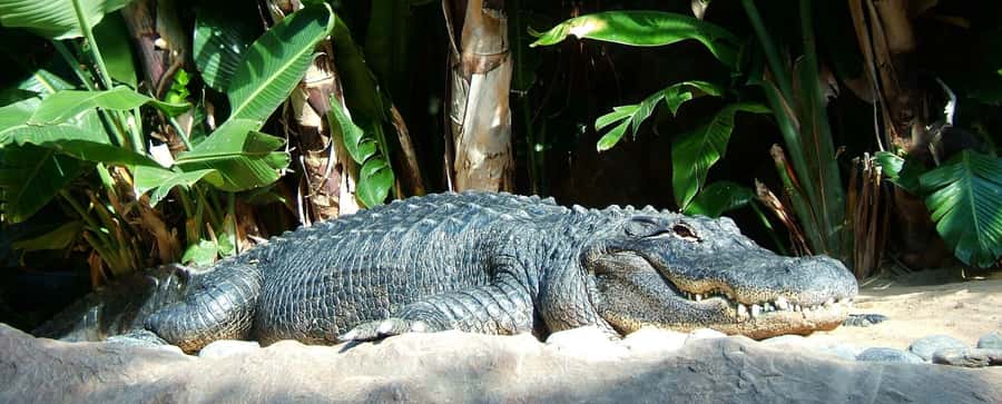 Animal & Nature Parks, Private Tour - Waterfalls set the tone for the day