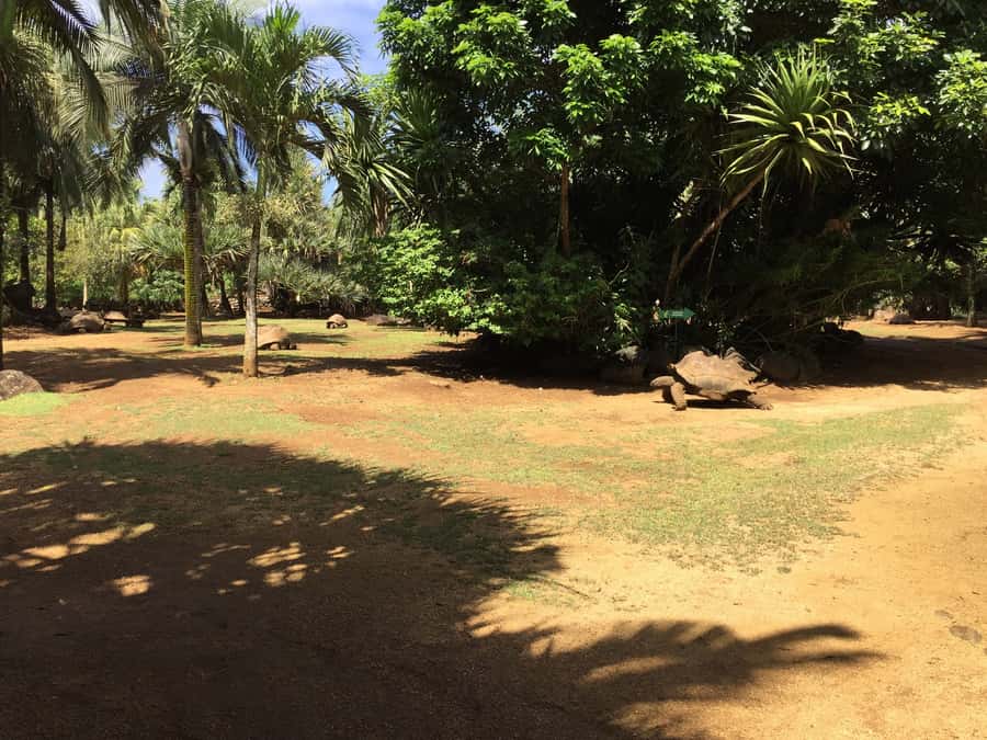 Animal & Nature Parks, Private Tour - Lunch and drinks keep the day moving