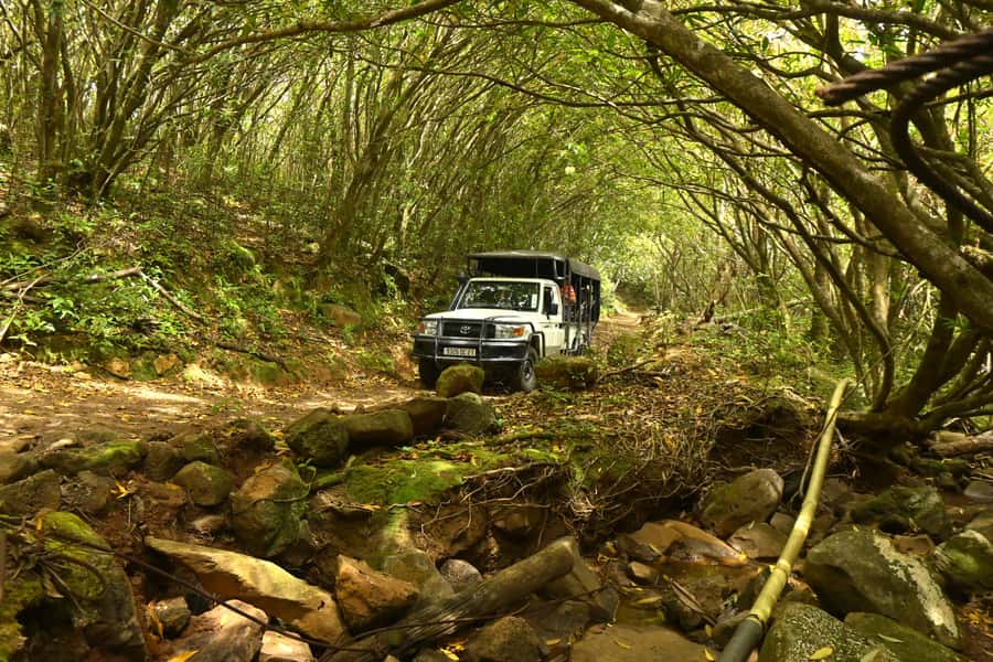 Animal & Nature Parks, Private Tour - A private group of four changes the experience