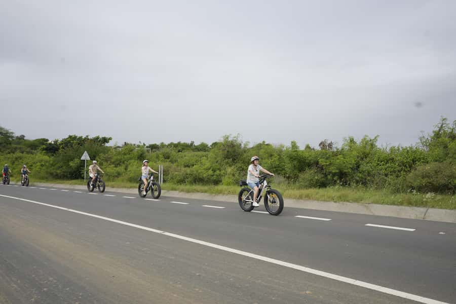 Authentic North East Coast E-bike Guided Tour - Group size, timing, and practical value