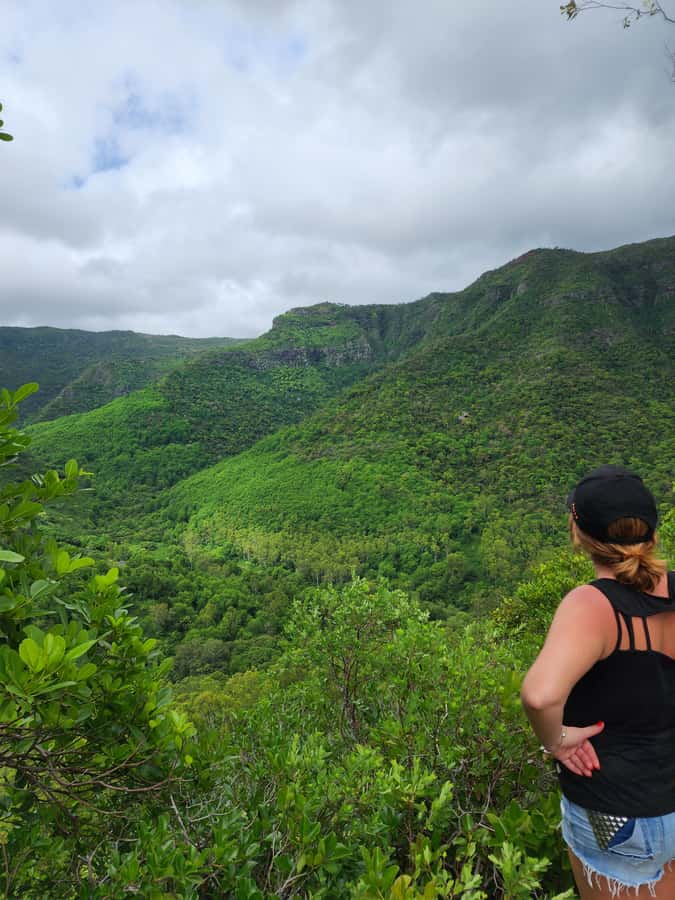 Black River: Guided Hike in the Black River Gorges Valley - Key points to know before you go