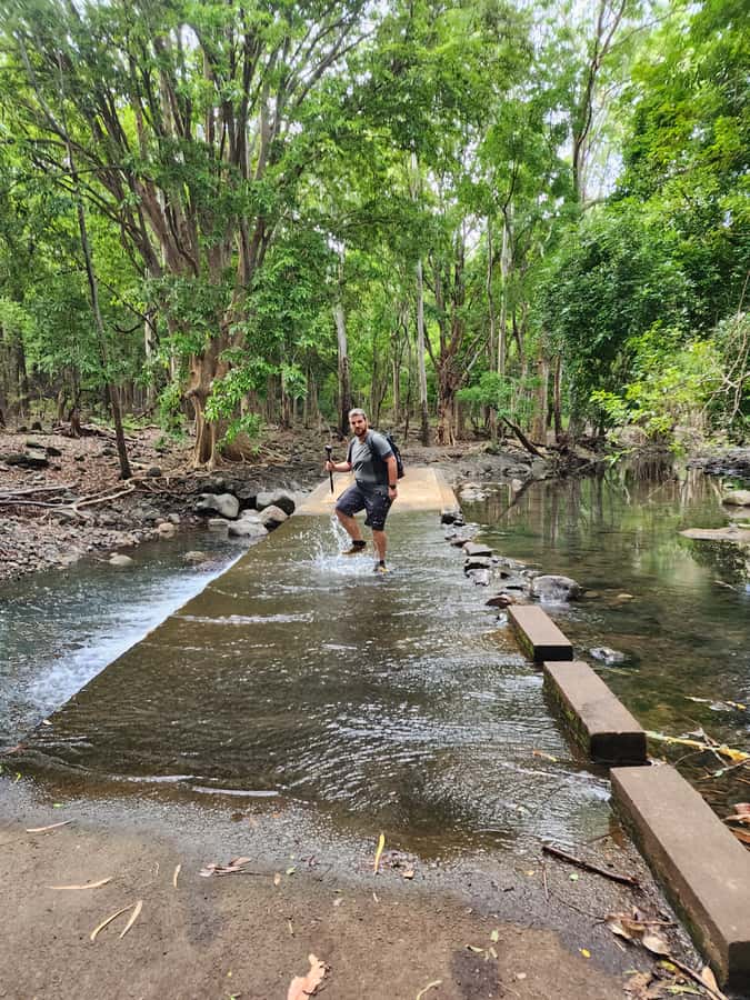 Black River: Guided Hike in the Black River Gorges Valley - Entering the Black River Gorges