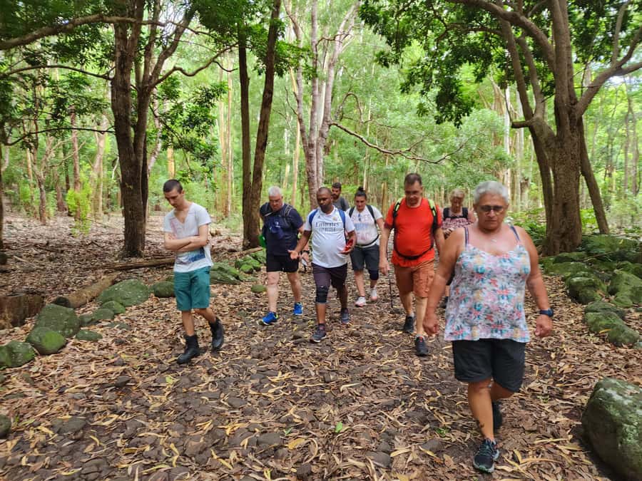 Black River: Guided Hike in the Black River Gorges Valley - What the guide adds to the day