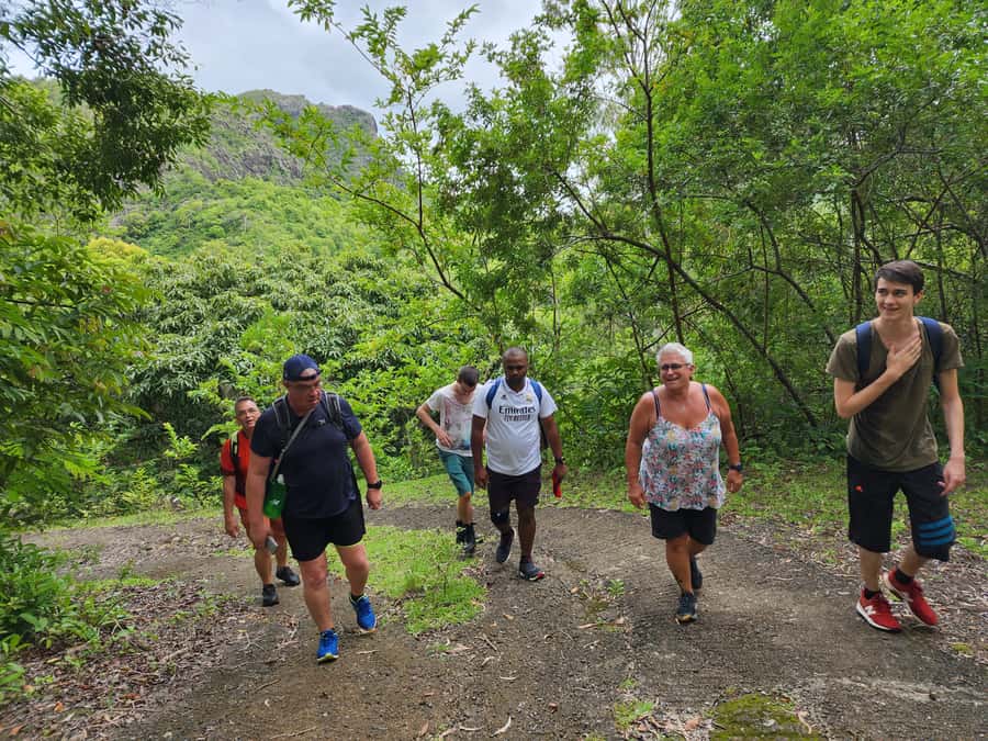 Black River: Guided Hike in the Black River Gorges Valley - The first hour: forest walking and uphill ground