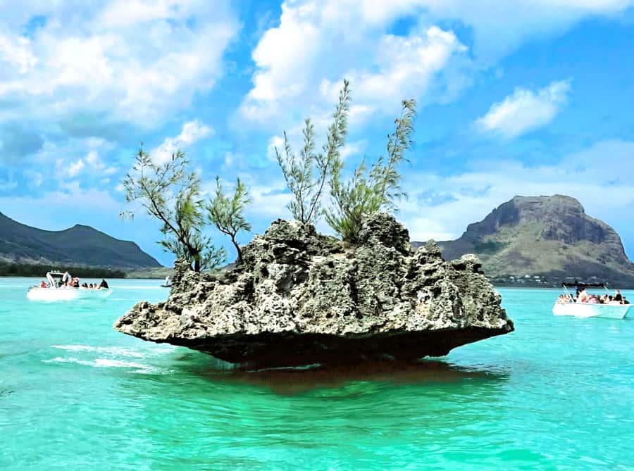 Black River: Swim with Dolphin Speed Boat Tour with lunch - Who should book this Mauritius day trip?