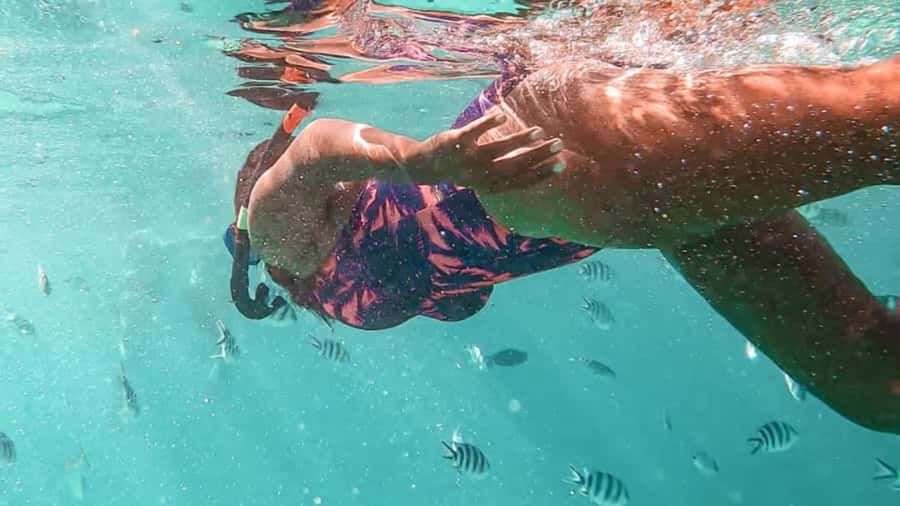 Blue Bay: Blue Bay Glass Bottom Boat Visit and Snorkeling - Key points to know before you go