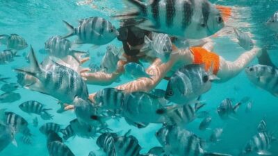Blue Bay Glass Bottom Boat Visit and Snorkeling
