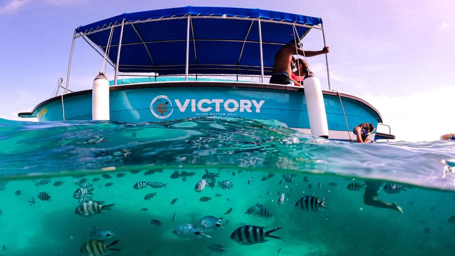 Blue Bay: Blue Bay Glass Bottom Boat Visit and Snorkeling - The coral is worth seeing, but manage your expectations