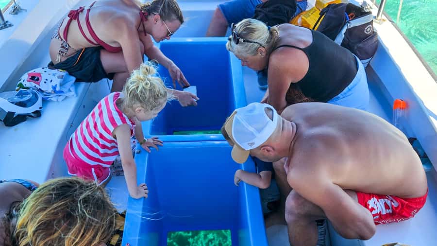 Blue Bay: Blue Bay Glass Bottom Boat Visit and Snorkeling - Is $28 a fair price?