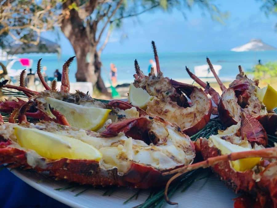 Blue bay: boat trip for ile au cerf (5 islands, barbecue) - Guides, Safety, And The Feel Of The Day