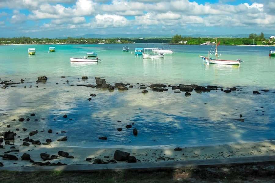 Blue Bay Glass Bottom Boat, Adventure Park & Gris Gris - Blue Bay begins the day with coral and clear water