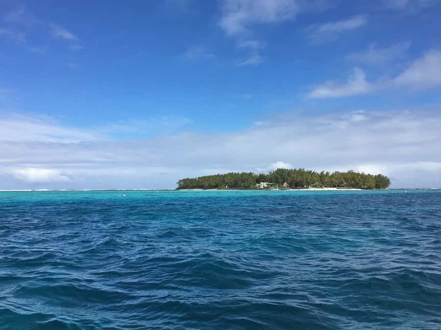 Blue Bay: Half-Day Snorkeling Trip with Creole Picnic Lunch - Who Will Enjoy This Mauritius Snorkeling Trip