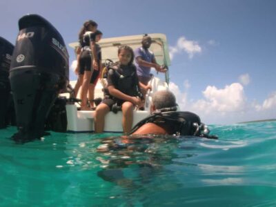 LEARN TO DIVE TODAY with CORAL DIVING Team