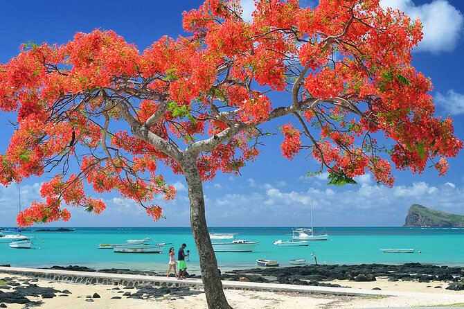 Car Hire for a Day with Driver - 8 Hours - Southern Views and Inland Mauritius