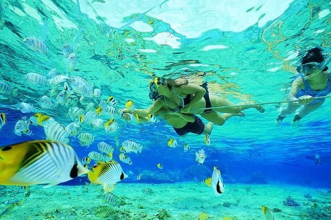 Catamaran Adventure Full Day: Ile aux cerfs,GRSE Waterfall,Snorkeling &BBQ Lunch - Weather, clothing, and practical tips
