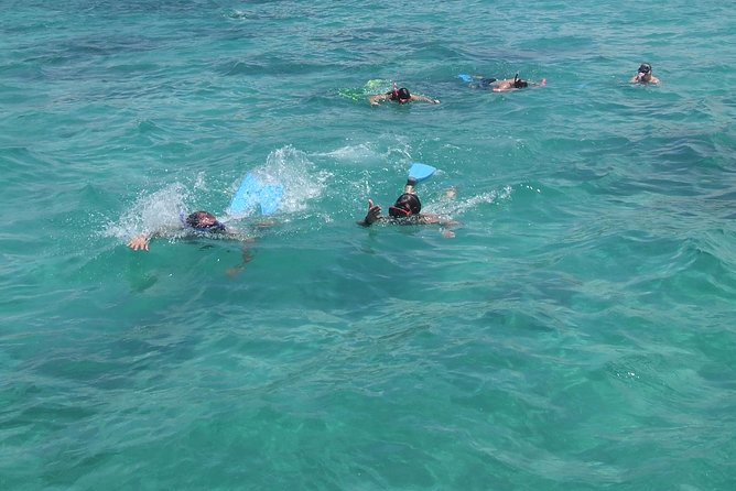 Catamaran Cruise: Isle aux Cerfs, Including BBQ Lunch, in Mauritius - Snorkeling and the chance of dolphins
