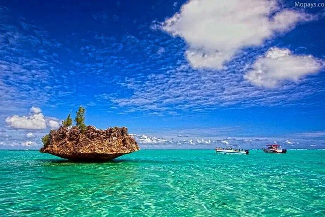 Catamaran Cruise to Ile Aux Bénitiers: Dolphin watch, Crystal Rock & Transfer - Who should book this Mauritius cruise?
