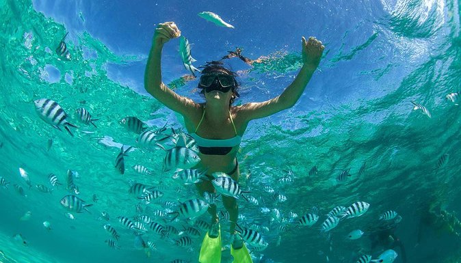 Catamaran Experience to Ile aux cerf: incl: Parasailing, Lunch, GRSE & Transfer - Grand River South East and its short waterfall trip