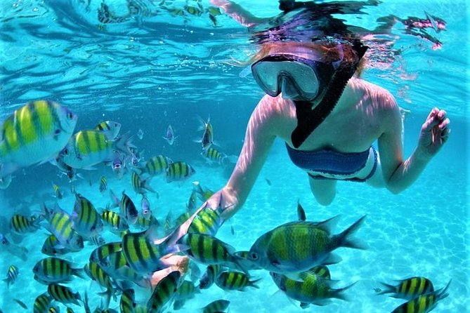 Catamaran Ile aux Cerfs, snorkeling + GRSE Waterfall, BBQ & Bar - Booking timing and cancellation flexibility
