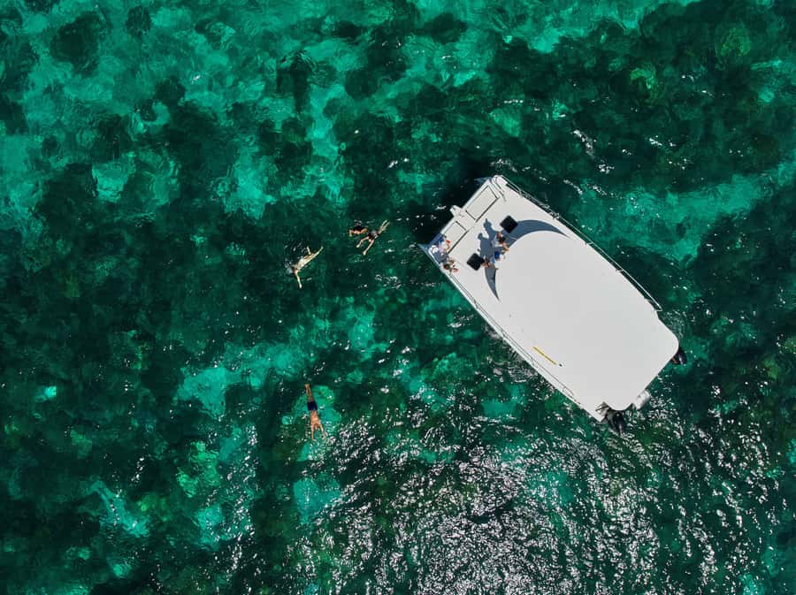 Catamaran Mauritius: South East 5 Islands Catamaran Cruises - Dolphin Watching and Sea Turtles