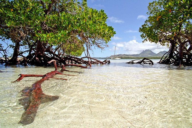 Catamaran to Ile aux Cerf with Parasailing, Tube Riding & Lunch - Cruising from the fishing village to the lagoon