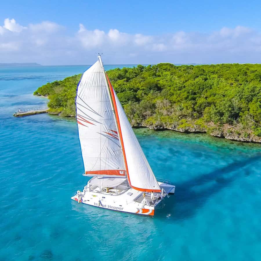 Catamaran trip to Ile Aux Cerfs With Two Way Transportation - Reaching Île aux Cerfs for swimming and free time