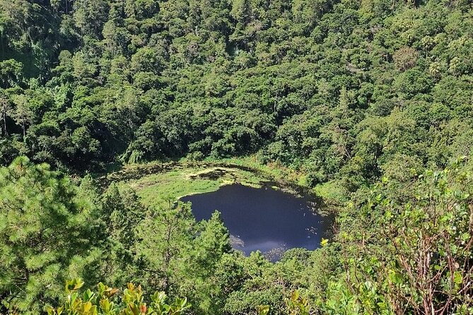 Chamarel 7 Colours and Waterfalls - Exclusive South West Tour - Alexandra Falls and Black River Gorges bring the forest scenery