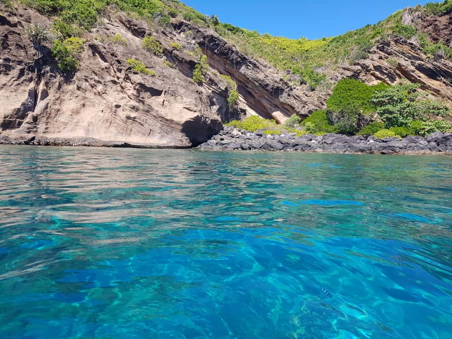 Coin de Mire 2-Hour Private Snorkeling Trip - Is $412 Good Value?
