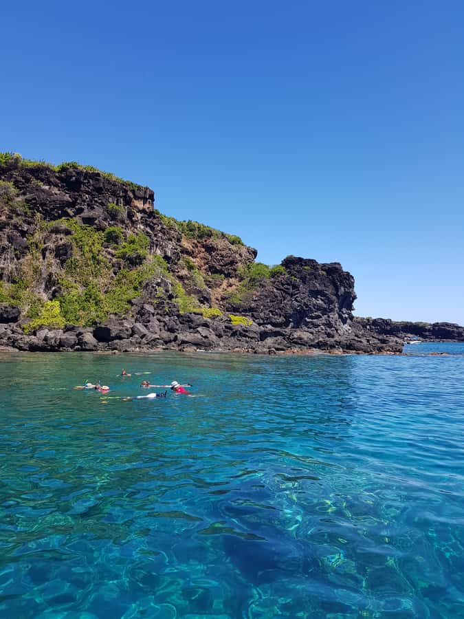 Coin de Mire 2-Hour Private Snorkeling Trip - Who Will Enjoy This Most?