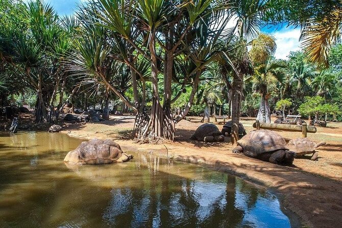 Crocodile Nature Park - Gris Gris brings the power of the southern coast