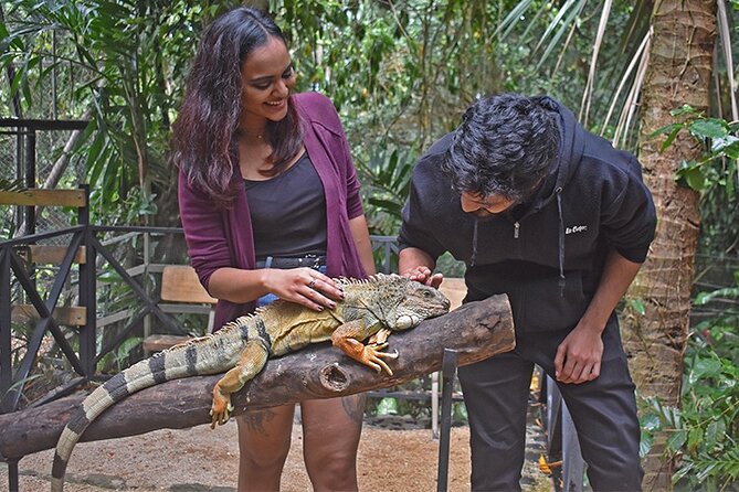 Crocodile Nature Park - Maconde Viewpoint gives you a memorable road stop
